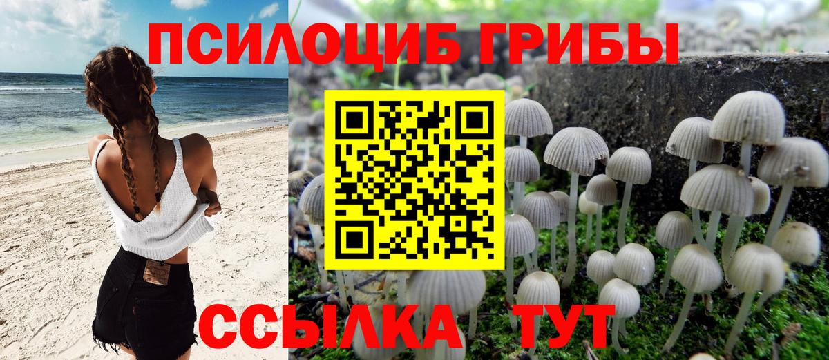 Выборг  Галлюциногенные грибы прущие грибы  наркошоп  Вход с VPN  Псилоцибиновые грибы GOLDEN TEACHER 