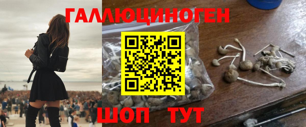 Псилоцибиновые грибы прущие грибы Выборг